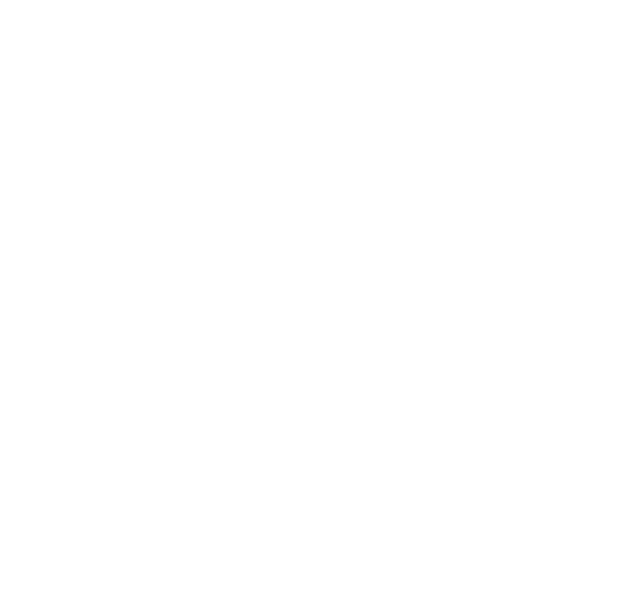 BIMIFF BEST FILM
