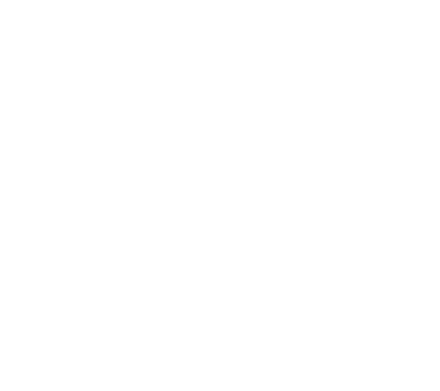 FIC BEST ORIGINAL SOUNDTRACK