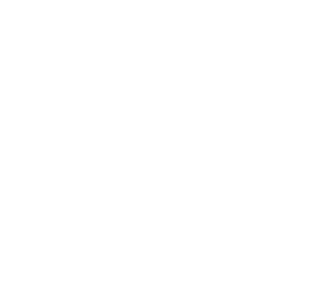 RIMA BEST DIRECTOR